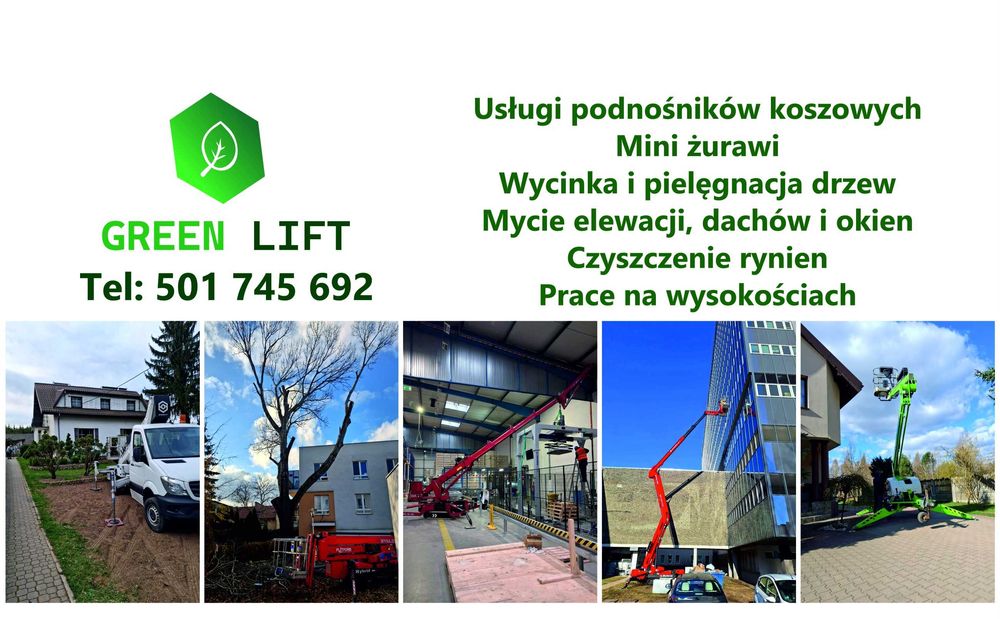 Wycinka drzew , mycie elewacji , podnośnik koszowy , mini żuraw