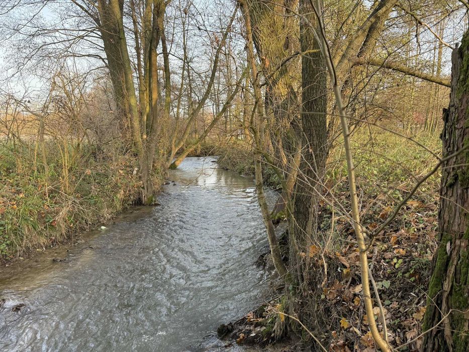Wyjątkowa działka pod Krakowem - Poskwitów Stary