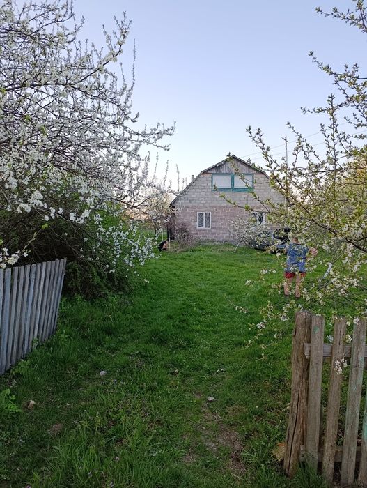 Продам будинок в селі