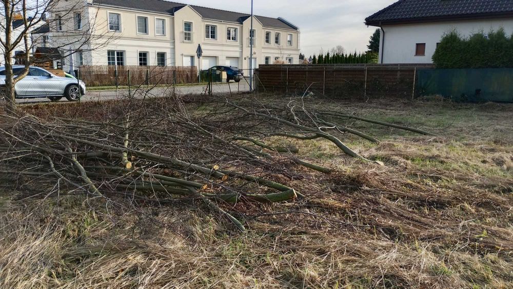 Drewno do oddania (na opal)