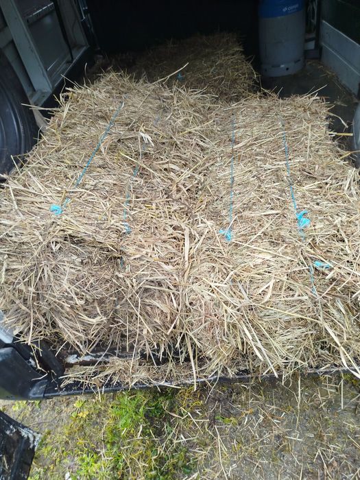 Fardos de palha possível entrega