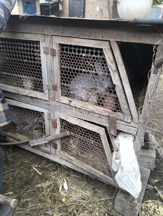 Продам клетки для кроликов б.у.