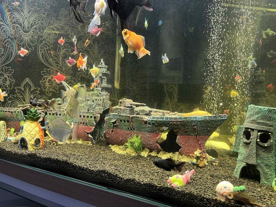 Акваріум на 200 літрів з тумбою самовивіз