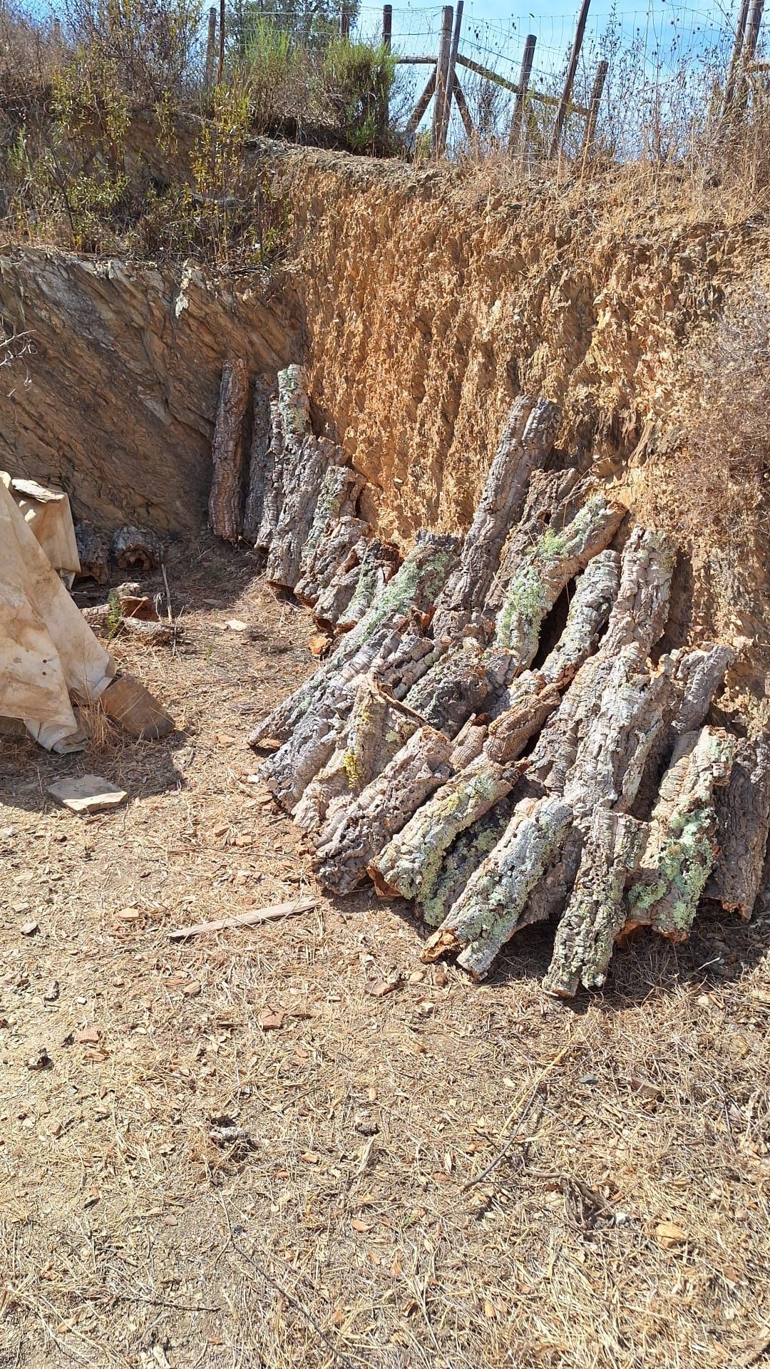 Tubos de cortiça para terrário, vários tamanhos