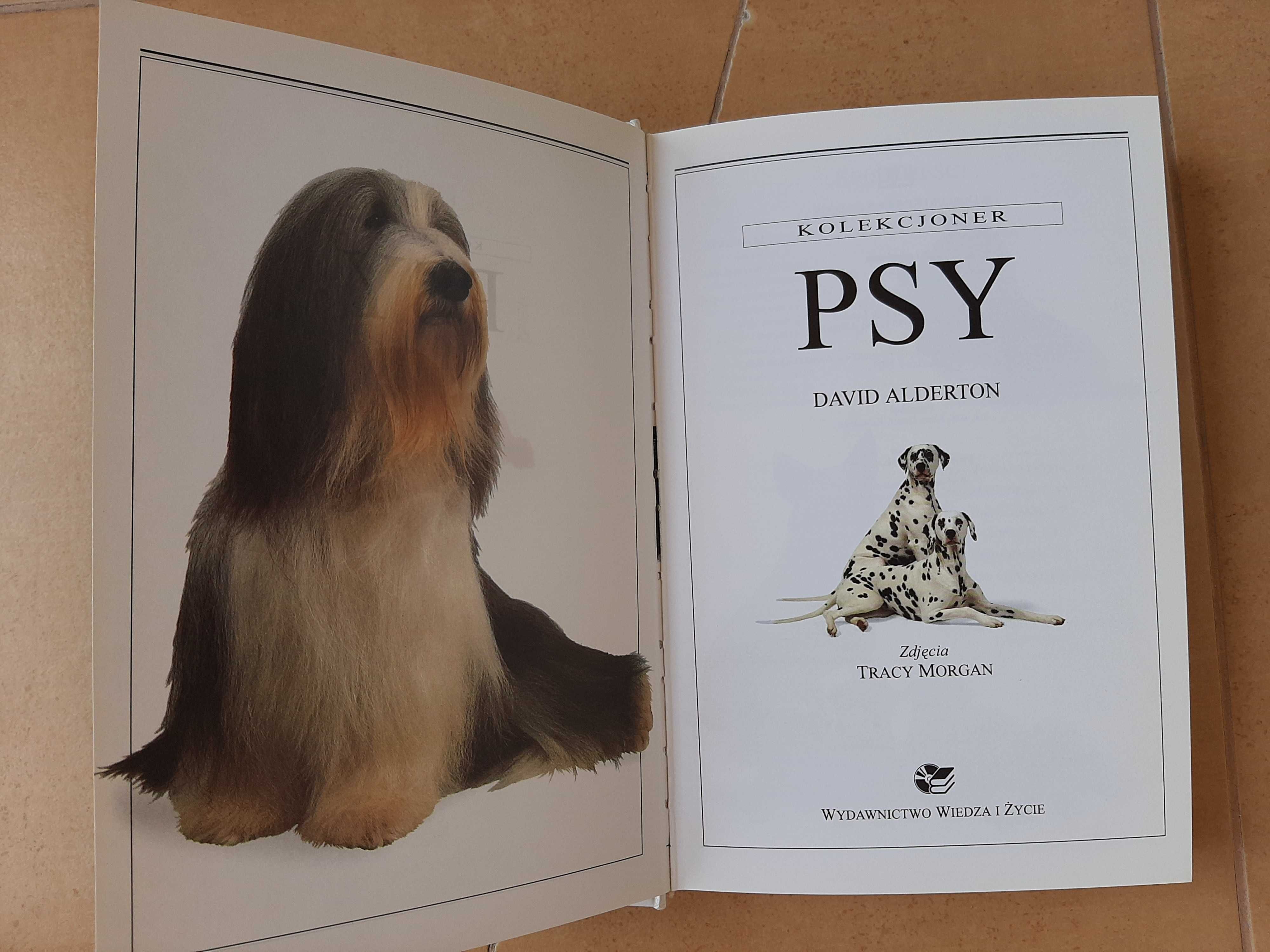 Książka: Psy. Ilustrowany przewodnik