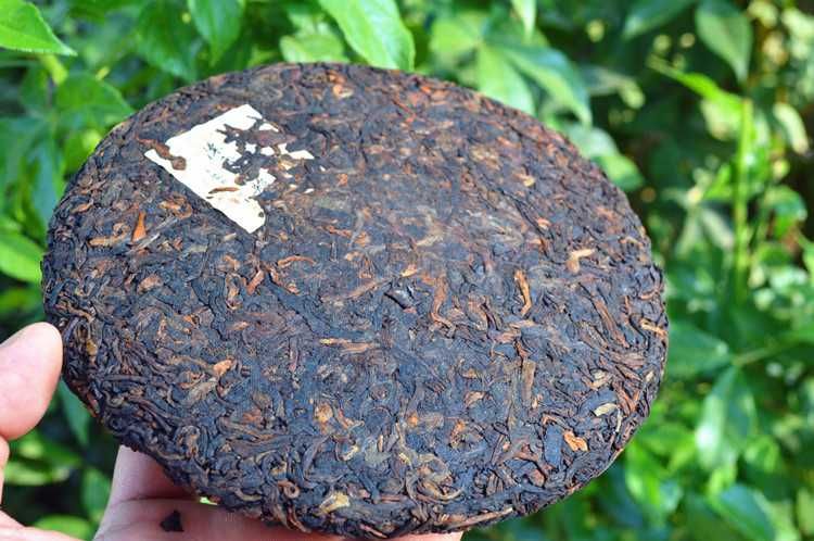 TEA Planet - Herbata PuErh Shu prosto z Chin - dysk 200 g. z 2008 r #2