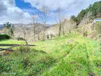 Terreno com a área de 8.100m2 em Cabeceiras de Basto