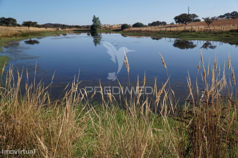 Herdade No Alentejo