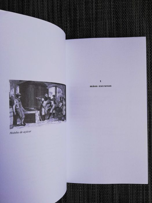 O Engenho - Reinaldo Arenas (portes grátis)