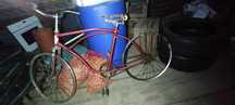 Rower Korlis universal retro