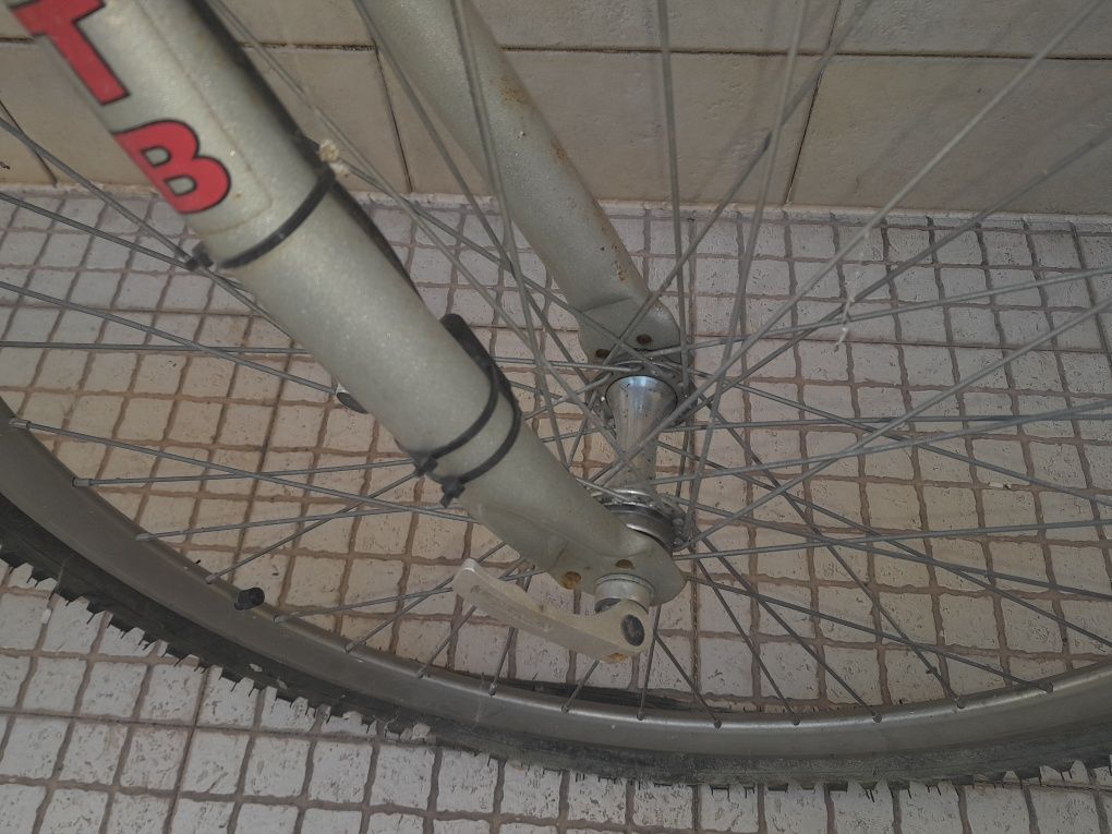 Bicicleta antiga