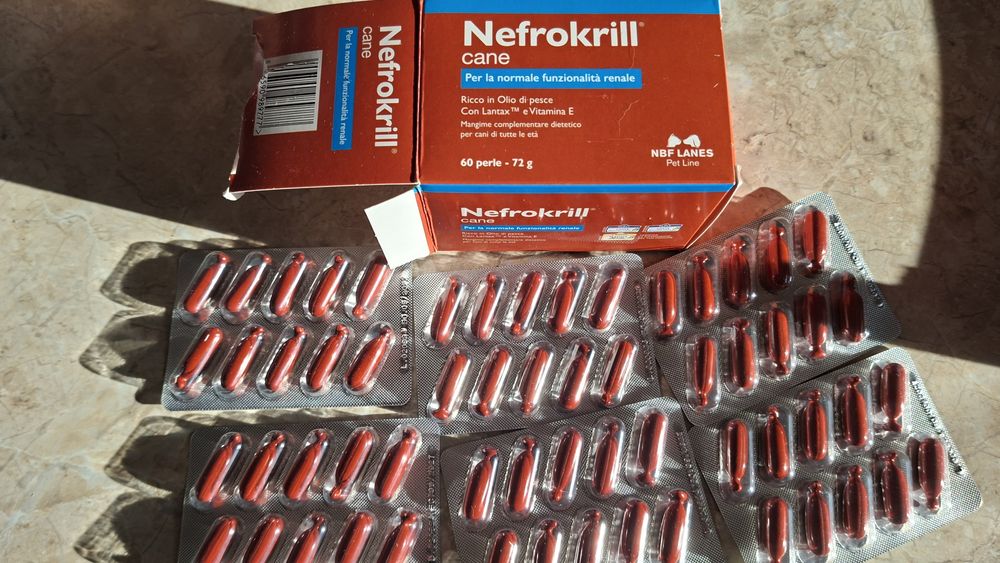 Nefrokrill cane 60 kaps.