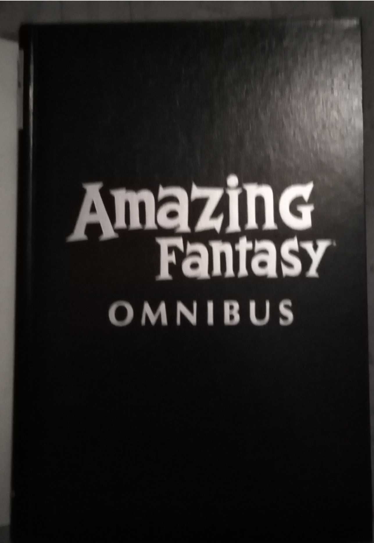 Amazing Fantasy omnibus I wyd.
