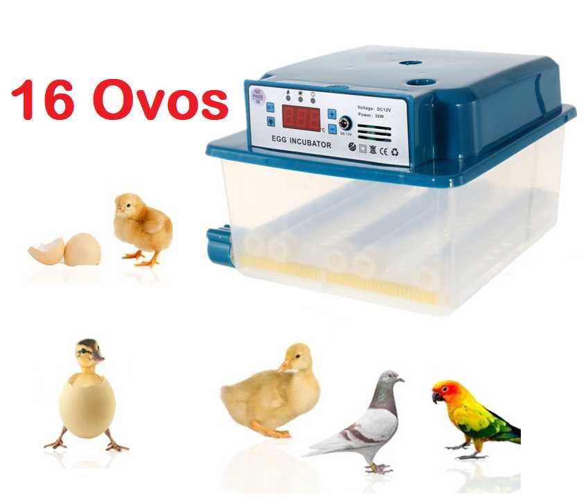 [NOVO] Chocadeira / Incubadora Automática • 16 Ovos de Galinha