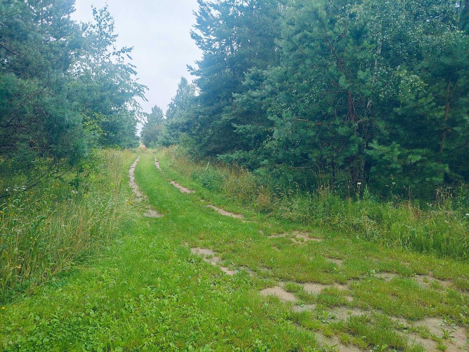 Sprzedam Działkę na Mazurach