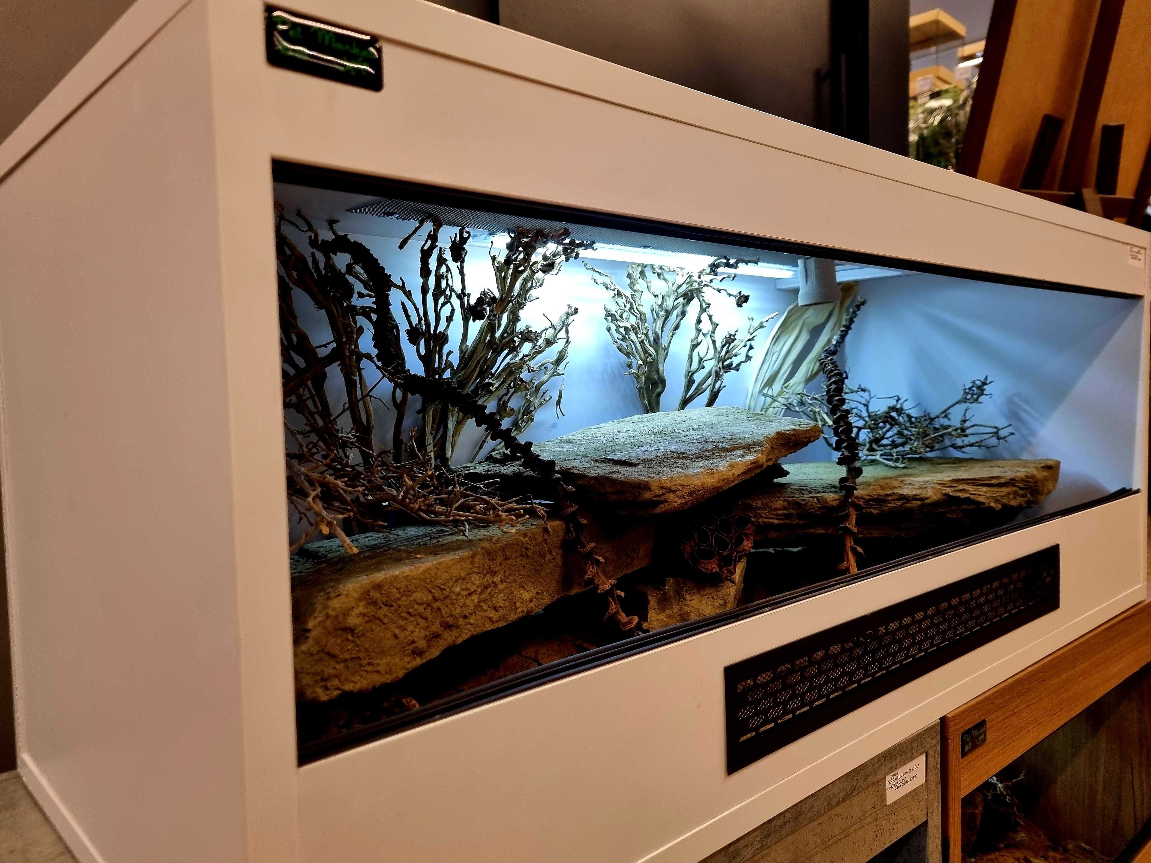 Terrarium 100x40x40 dla gekona lamparciego