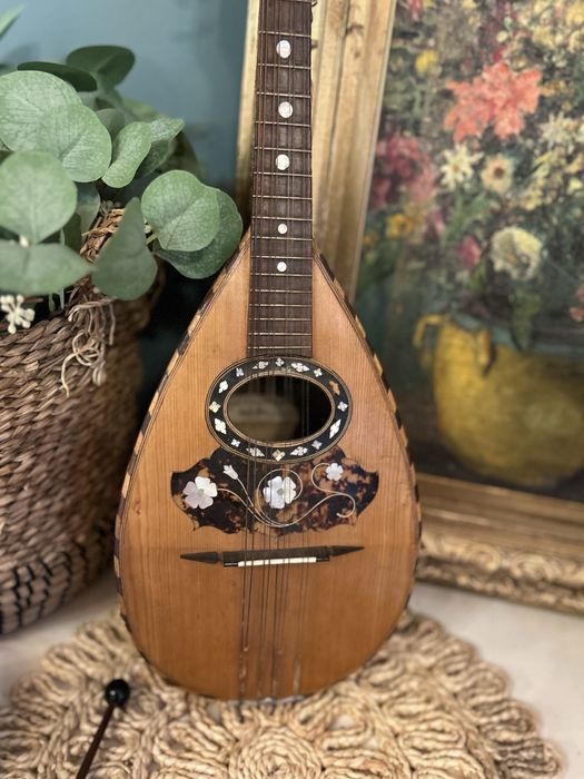 Mandola mandolina intersjowana