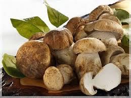 Сухі білі гриби на вагу