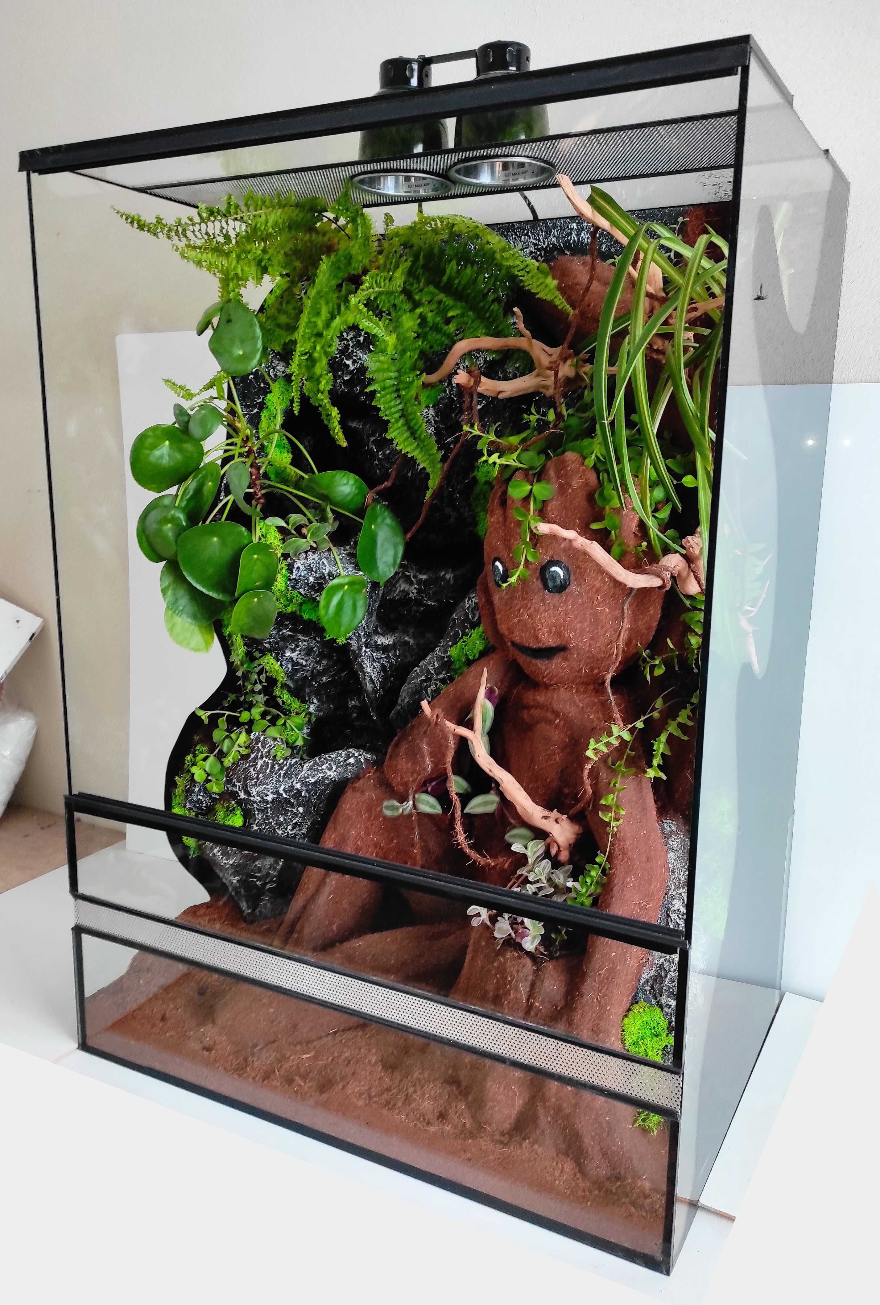 Terrarium dla kameleona z postacią z bajki, TW10GW, AquaWaves