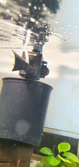 Filtr akwariowy aquael pat mini