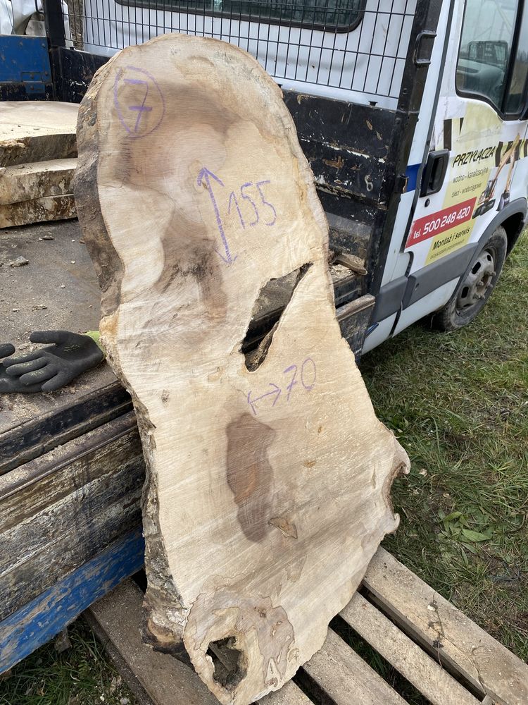 Plastry drewniany Klona  średnica 100 cm