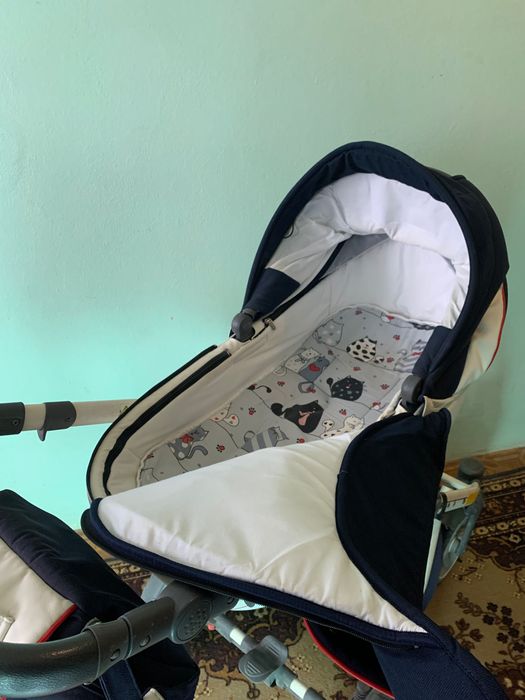 Каляска Anex sport 3в1