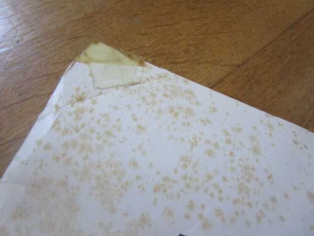 Poster Promocional U2