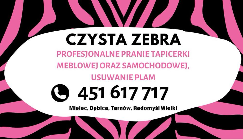 Pranie tapicerki meblowej i samochodowej, usuwanie zabrudzeń