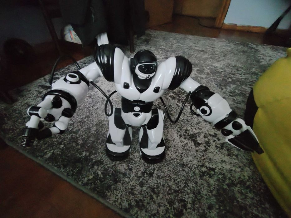 Інтерактивний робот WOW