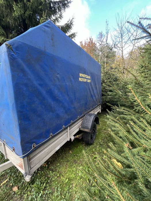 Przyczepka dmc 750 przyczepa lekka