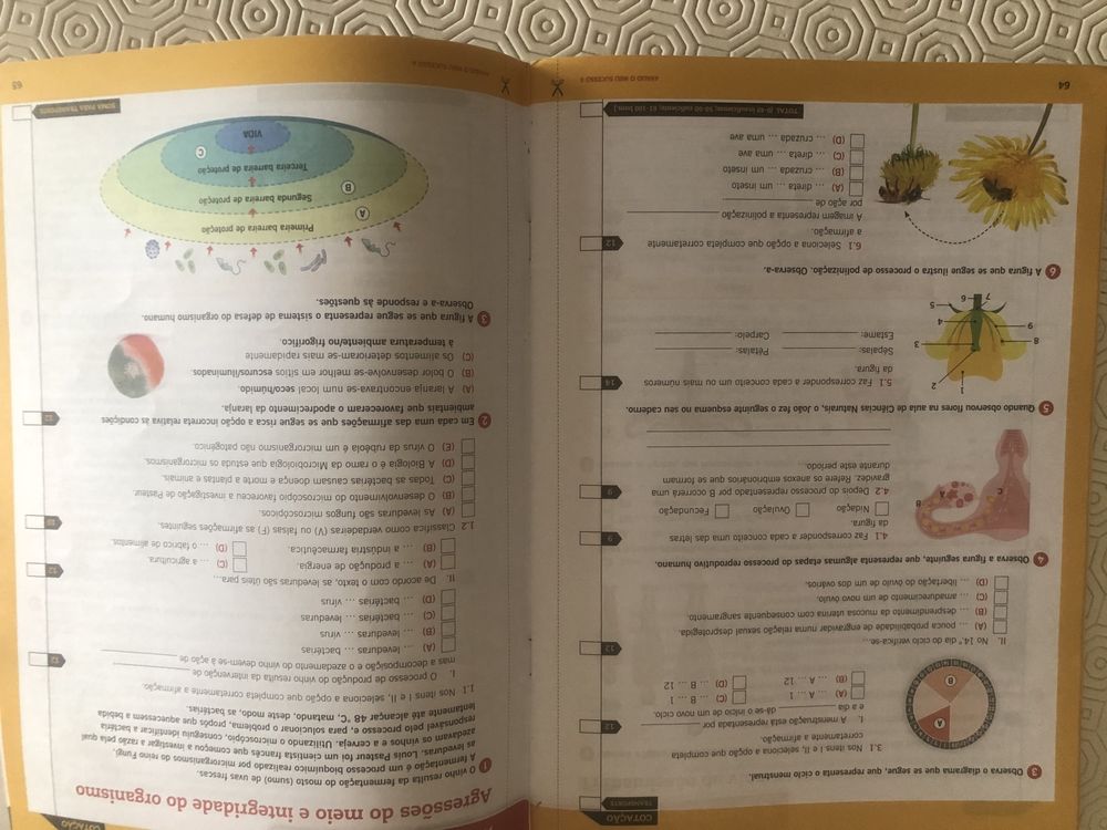 Terra Viva - 6 Ano - Caderno de Atividades