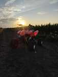 Quad 110cc polaris