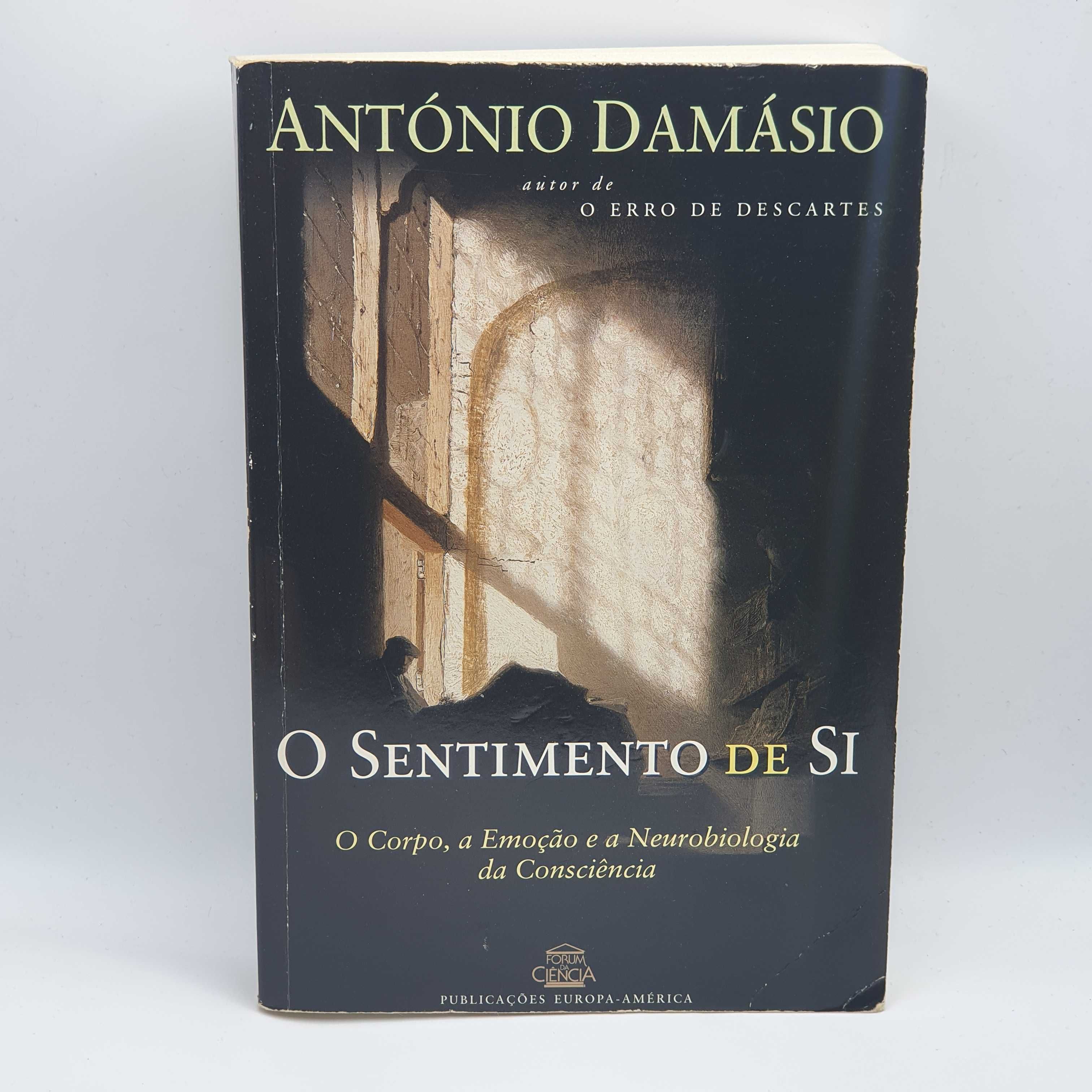 Livro Ref-PAR3 - António Damásio - O Sentimento de Si