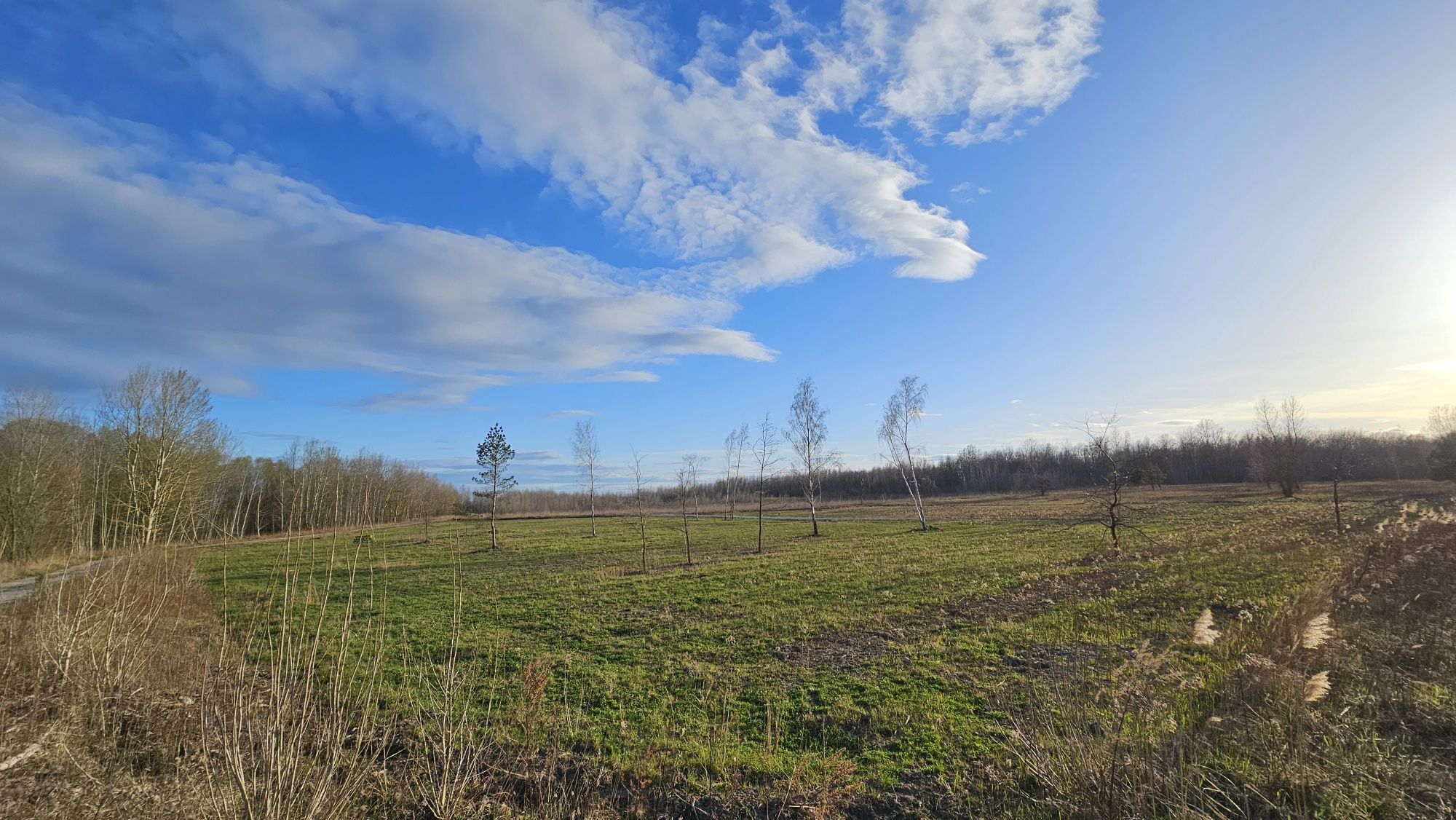 Działka nad Jeziorem Tarnobrzeskim 10ar