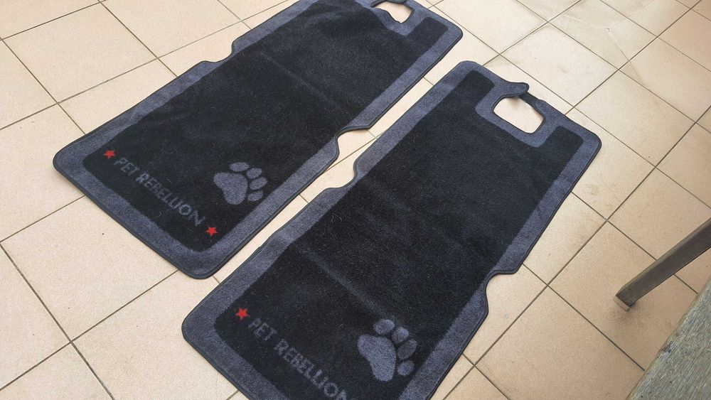 Três proteções para o transporte de animais de estimação