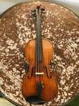 Violino Alemão 4/4