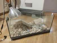 Terrarium dla żółwia