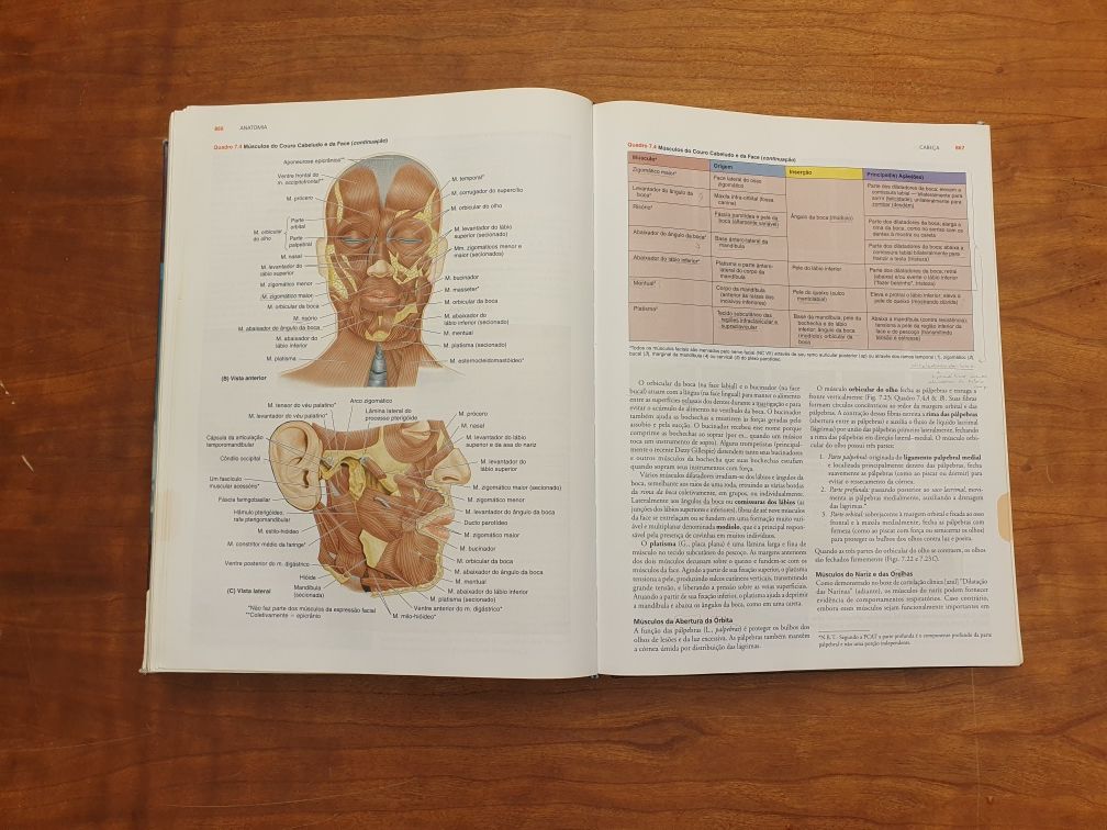 Anatomia Orientada para Clinica - 5 edição