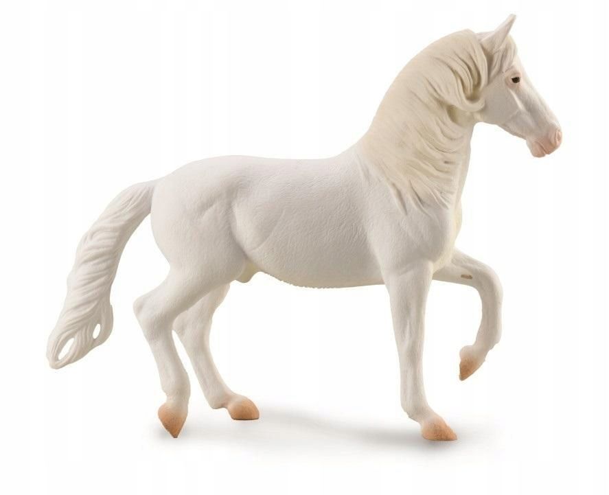 Koń Camarlillo Biały, Collecta
