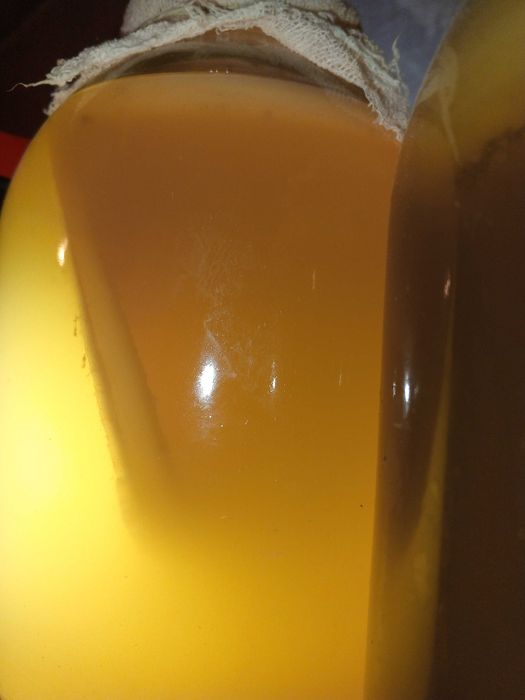 Уксусная матка из яблочного уксуса.