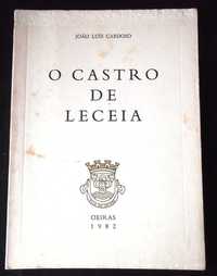 Livro O castro de Leceia 1982 João Luís Cardoso