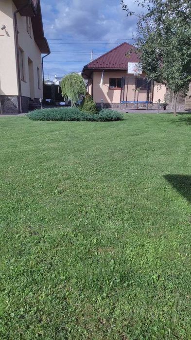 Будинок в Солонці власник