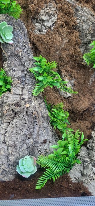 Terrarium 40x40x60 z wystrojem, gekony, Wysyłka