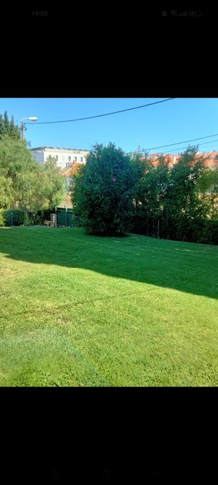 Jardineiro- limpeza e manutenção de jardins