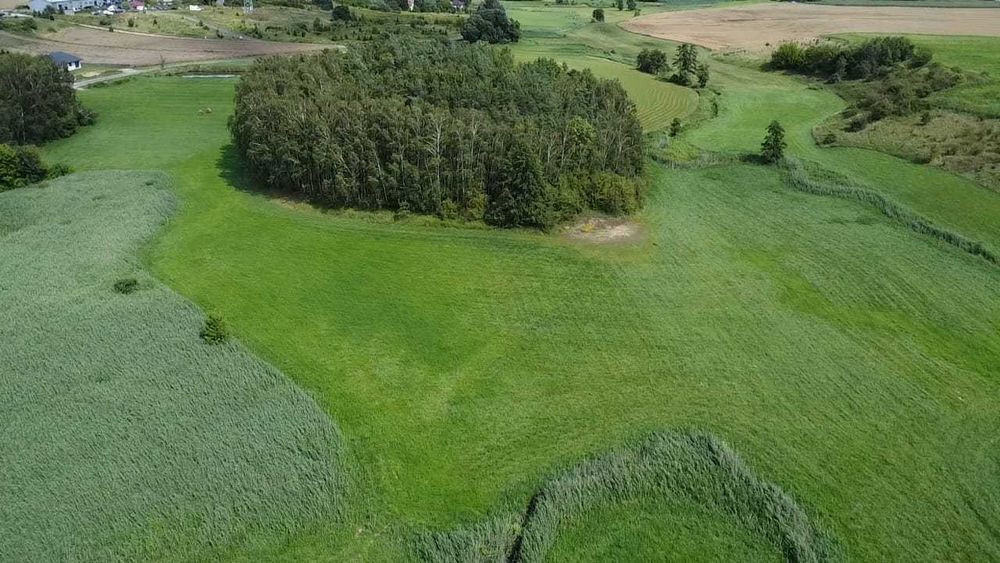 Działka rolna 2,4369 Stara Biała