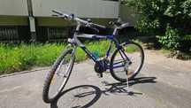 Rower GIANT Upland rama M