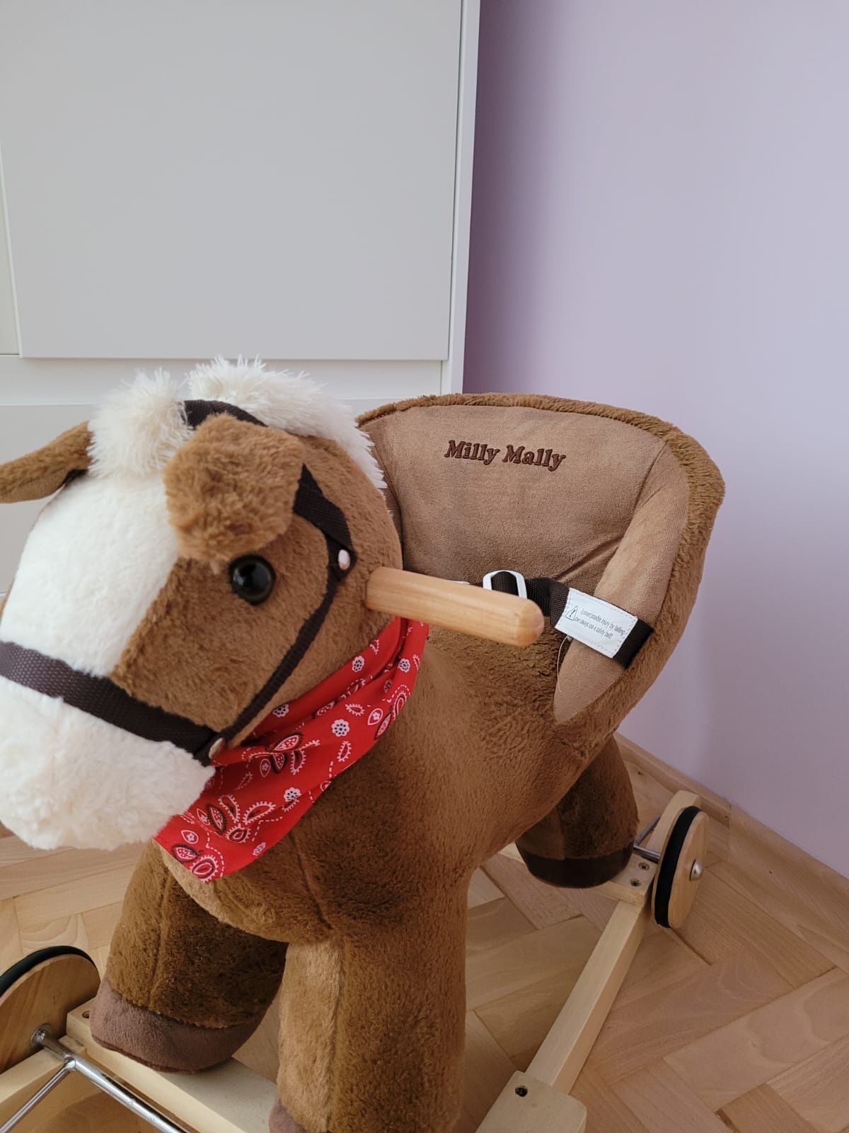 Konik na biegunach