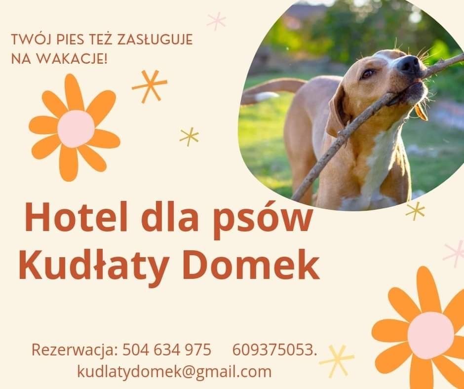 Hotel dla psow Kudłaty Domek