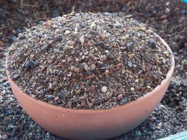 Почва для кактусов