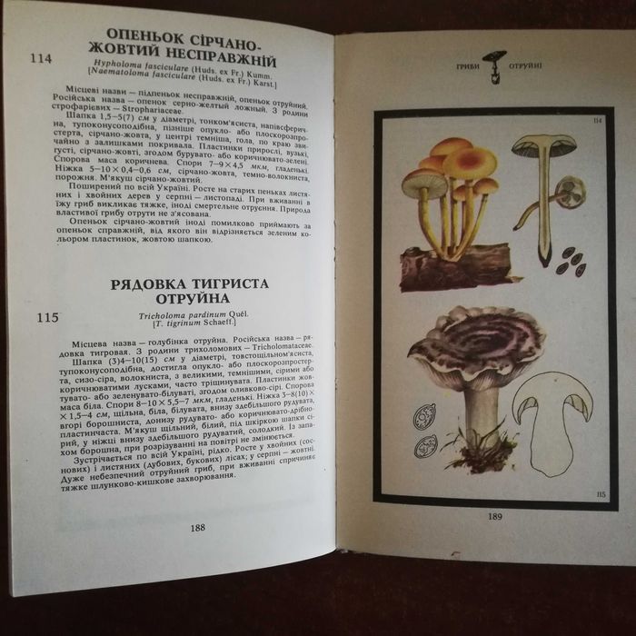 Зерова М. Гриби (їстівні, умовно їстівні, неїстівні, отруйні)